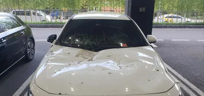 2020 Mercedes-Benz A 250 W1K3G4HB9LJ184929 VIN:W1K3G4HB9LJ184929