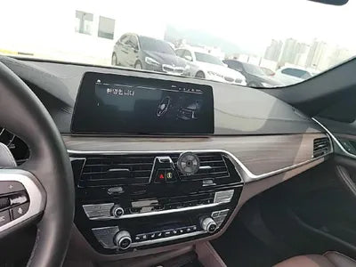 2019 BMW 520 WBAJF510XLWW55120 VIN:WBAJF510XLWW55120