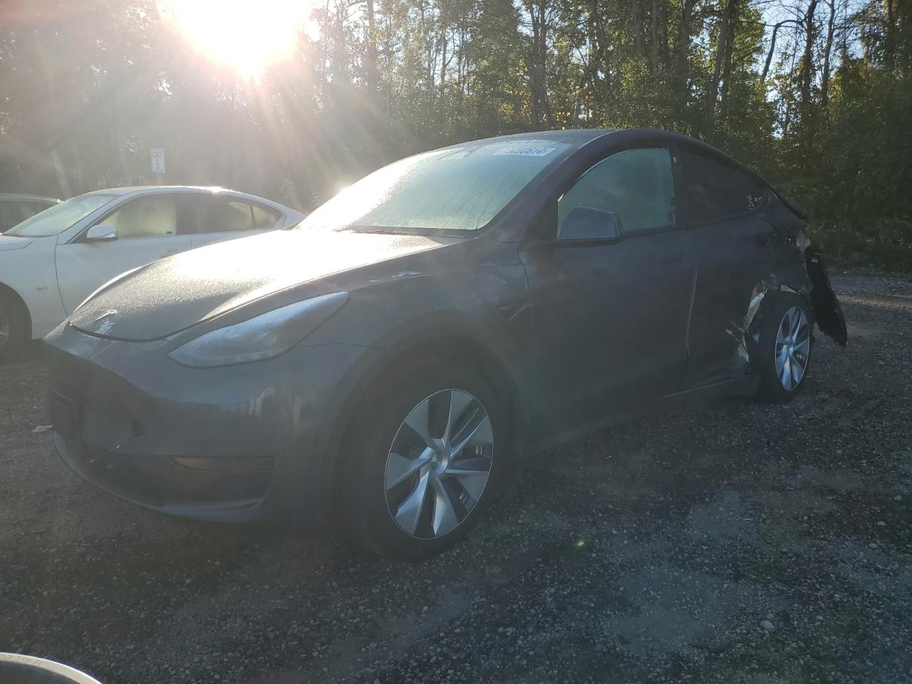 2023 TESLA MODEL Y  VIN:LRWYGDFD5PC221356