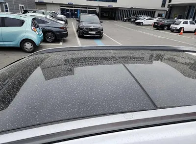 2019 Hyundai Santa FE KMHS581CBKU098716 VIN:KMHS581CBKU098716