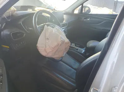 2019 Hyundai Santa FE KMHS281BBKU152315 VIN:KMHS281BBKU152315