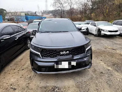 2022 Kia Sorento KNARH81GBNA101047 VIN:KNARH81GBNA101047