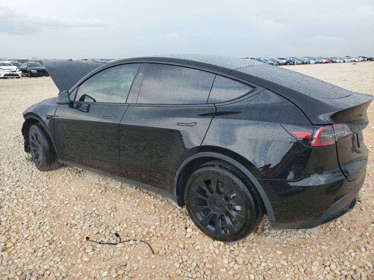 2024 TESLA MODEL Y  VIN:7SAYGAEE4RF064035