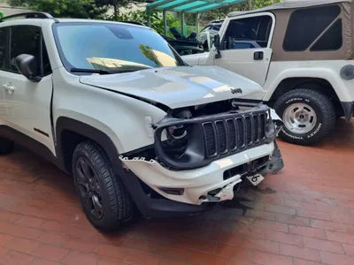 2021 Jeep Renegade 1C4NJDDB7MPN02006 VIN:1C4NJDDB7MPN02006