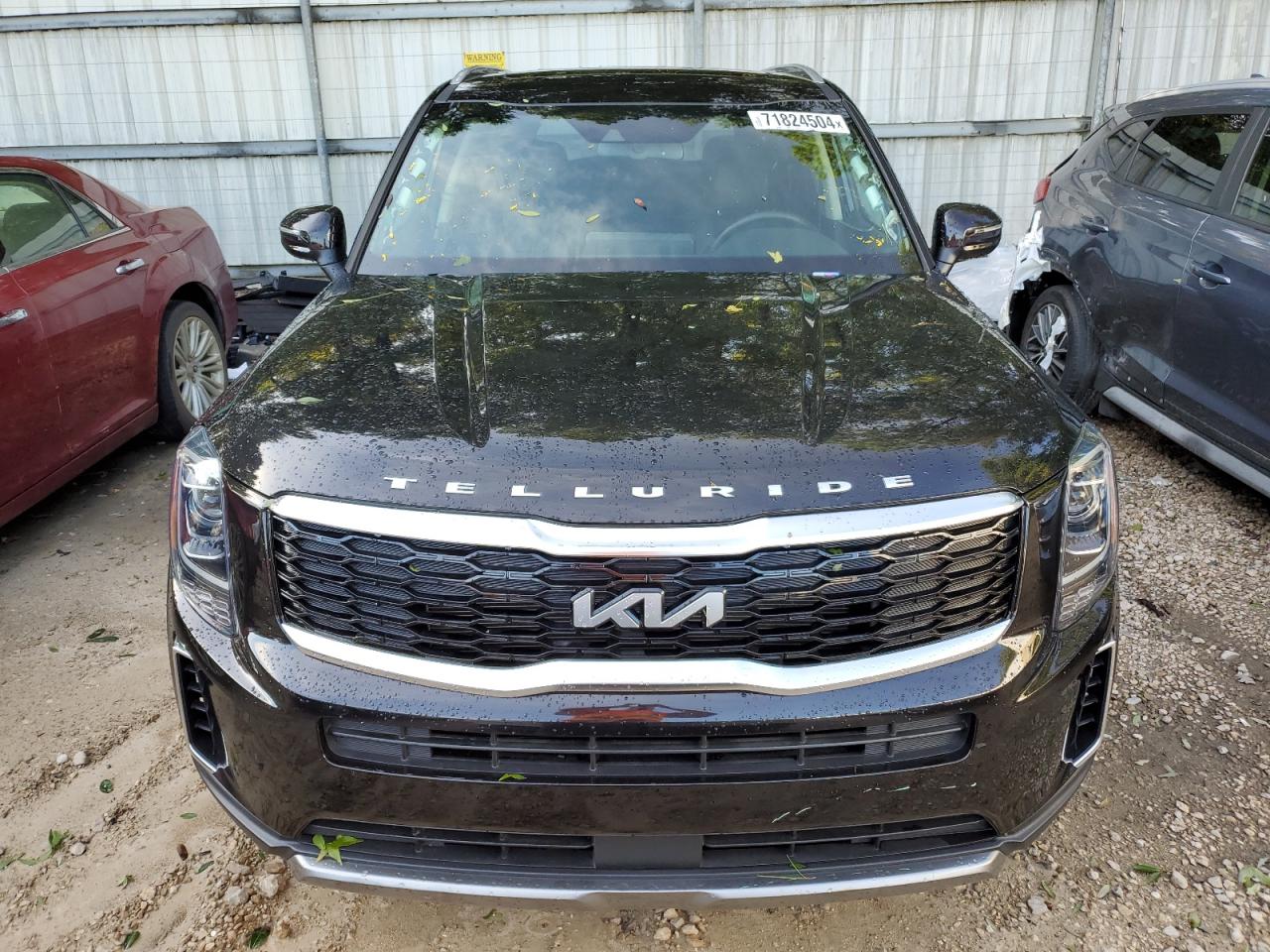 2022 KIA TELLURIDE EX VIN:5XYP3DHC7NG221916