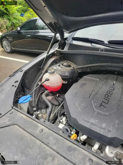 2020 Hyundai Santa FE KMHS281HGMU334862 VIN:KMHS281HGMU334862
