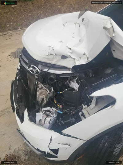 2018 Hyundai Santa FE KMHSW81UBJU862455 VIN:KMHSW81UBJU862455