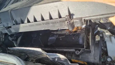 2019 Mercedes-Benz S 560 WDDUG8GB2KA425399 VIN:WDDUG8GB2KA425399