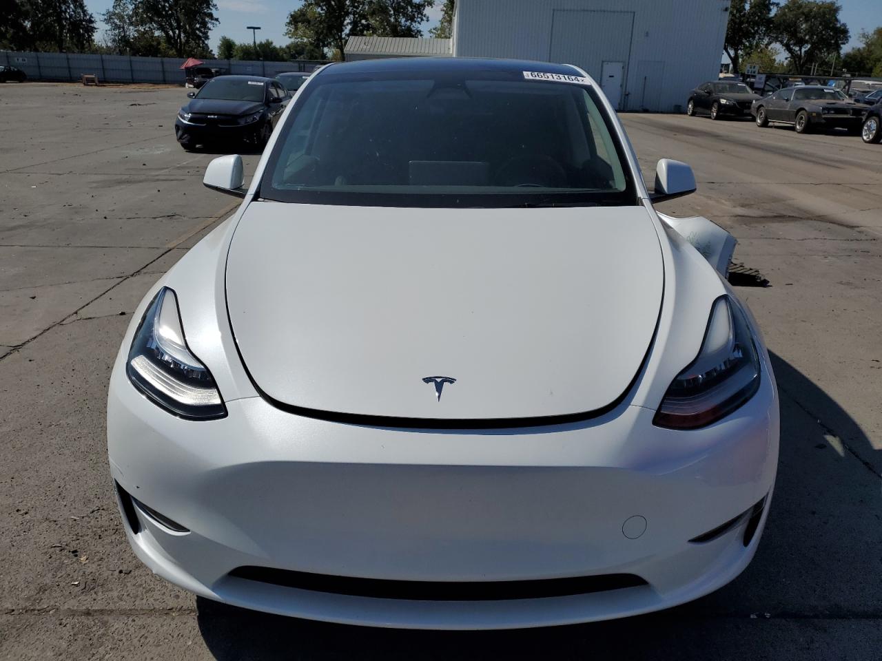 2023 TESLA MODEL Y  VIN:7SAYGDEE7PF590058