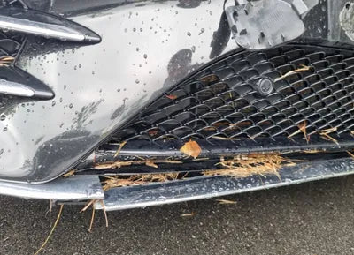 2020 Mercedes-Benz S 450 W1KUG6EB0LA530273 VIN:W1KUG6EB0LA530273