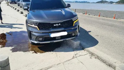 2022 Kia Sorento KNARM81FGNA147321 VIN:KNARM81FGNA147321