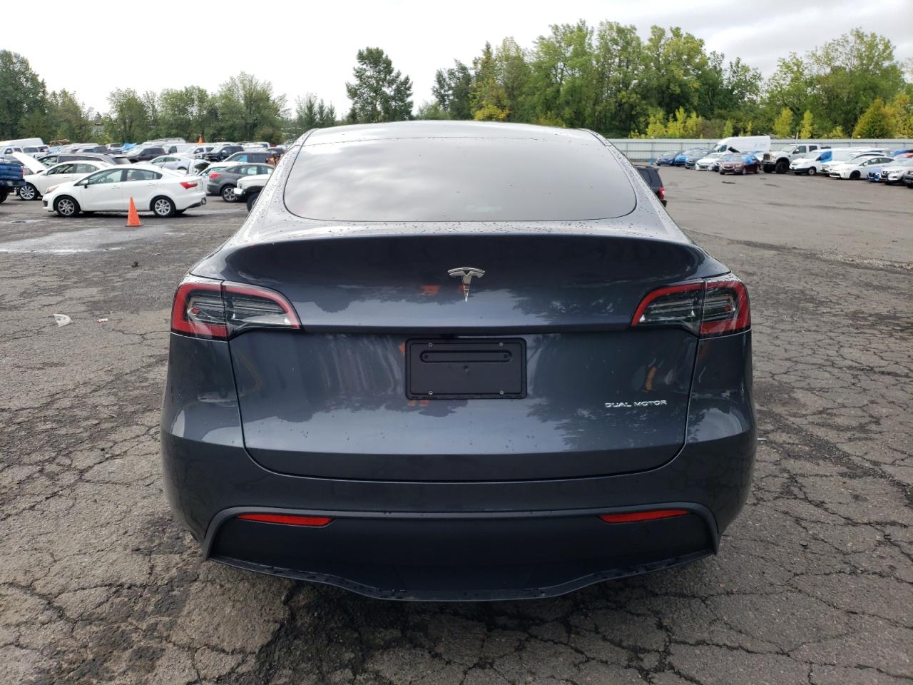 2023 TESLA MODEL Y  VIN:7SAYGDEE0PF880867