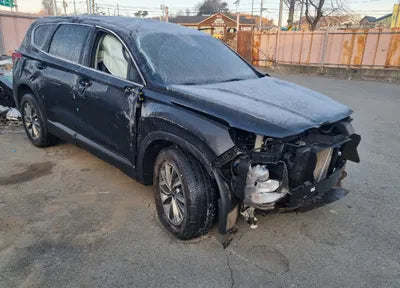 2019 Hyundai Santa FE KMHS281BBKU023902 VIN:KMHS281BBKU023902