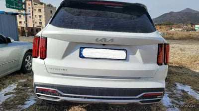 2023 Kia Sorento KNARJ81FGPA201460 VIN:KNARJ81FGPA201460