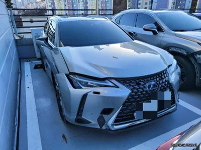 2019 Lexus UX 250 JTHY6JBH2K2001652 VIN:JTHY6JBH2K2001652