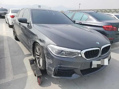 2019 BMW 520 WBAJF510XLWW55120 VIN:WBAJF510XLWW55120