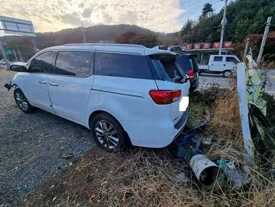 2017 Kia Carnival KNAMC81ABHS315244 VIN:KNAMC81ABHS315244