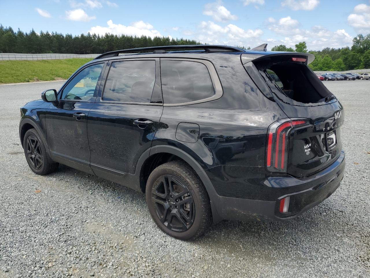 2024 KIA TELLURIDE EX VIN:5XYP3DGC6RG446545