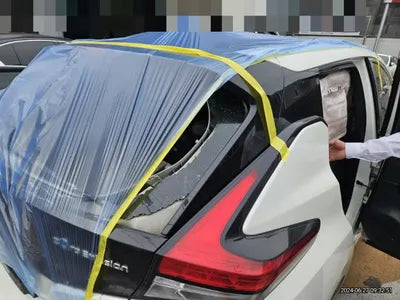 2019 Nissan Leaf VIN: