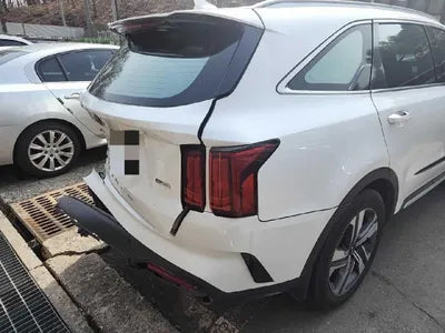 2021 Kia Sorento KNARF81GDMA045087 VIN:KNARF81GDMA045087