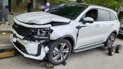 2022 Kia Sorento KNARL81GBNA106902 VIN:KNARL81GBNA106902