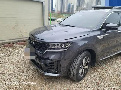 2023 Kia Sorento KNARL81BGPA239933 VIN:KNARL81BGPA239933