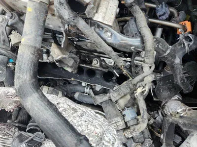 2022 Kia Carnival KNANE81BBPS240956 VIN:KNANE81BBPS240956