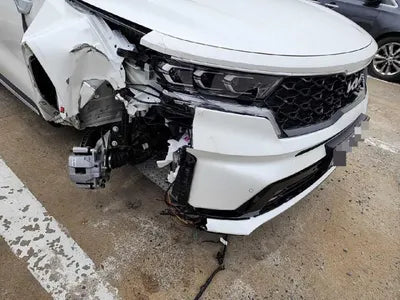 2023 Kia Sorento KNARF81BHPA198142 VIN:KNARF81BHPA198142