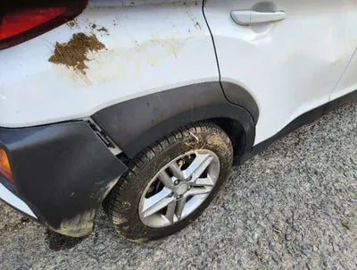 2019 Hyundai Kona VIN: