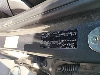 2019 Hyundai Kona KMHK381EGLU009951 VIN:KMHK381EGLU009951