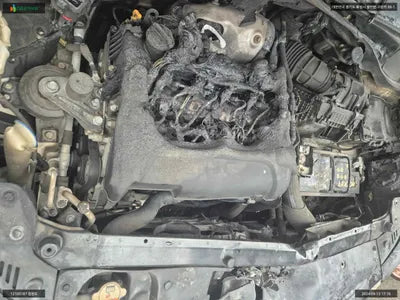 2016 Hyundai Santa FE KMHSW81XDGU687616 VIN:KMHSW81XDGU687616