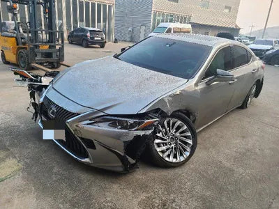 2021 Lexus ES 300 JTHBA1C19M2004041 VIN:JTHBA1C19M2004041