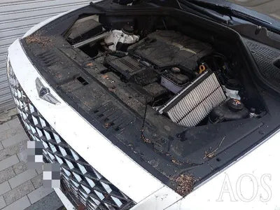 2021 Genesis GV80 VIN: