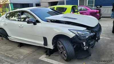 2020 Kia Stinger KNAE751CDLS076665 VIN:KNAE751CDLS076665