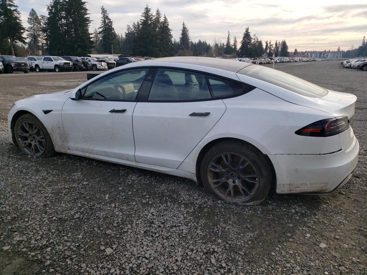 2023 TESLA MODEL S  VIN:5YJSA1E53PF500259