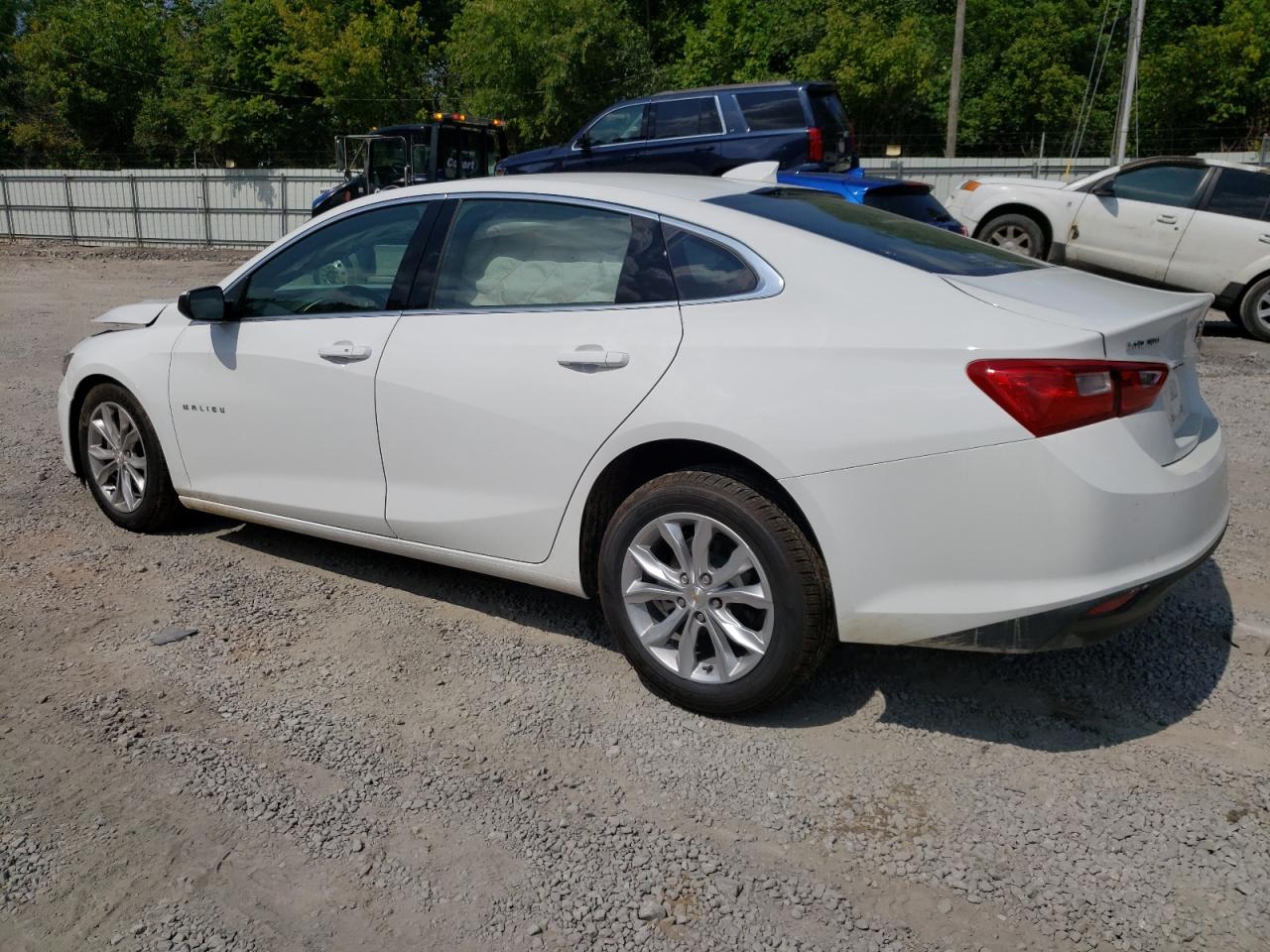 2023 CHEVROLET MALIBU LT VIN:1G1ZD5ST5PF213705