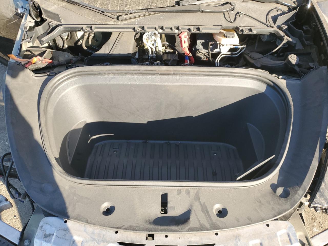 2022 TESLA MODEL Y VIN:7SAYGDEEXNF550568