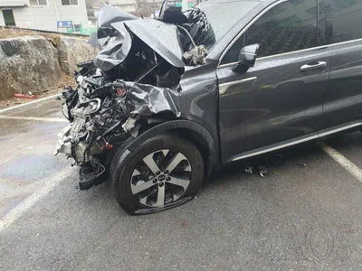 2021 Kia Sorento KNARL81BGMA097542 VIN:KNARL81BGMA097542