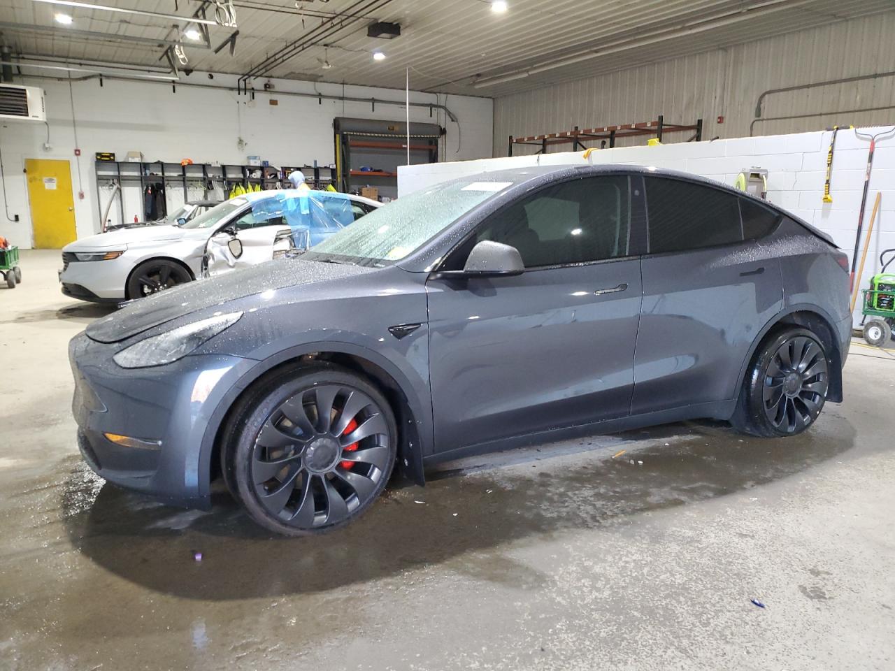 2023 TESLA MODEL Y  VIN:7SAYGDEF9PF582343