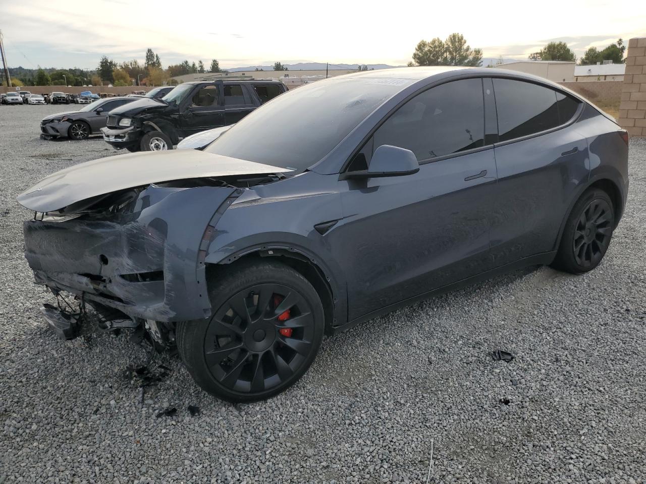 2023 TESLA MODEL Y  VIN:7SAYGDEE7PA074439