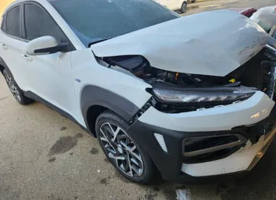2020 Hyundai Kona KMHK381EGLU028060 VIN:KMHK381EGLU028060