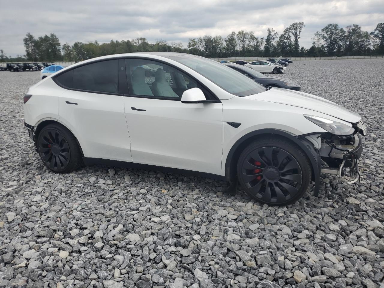 2023 TESLA MODEL Y  VIN:7SAYGDEF9PF800605