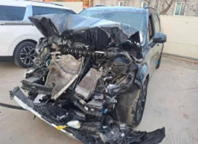 2021 Kia Carnival KNANC81BBMS018195 VIN:KNANC81BBMS018195