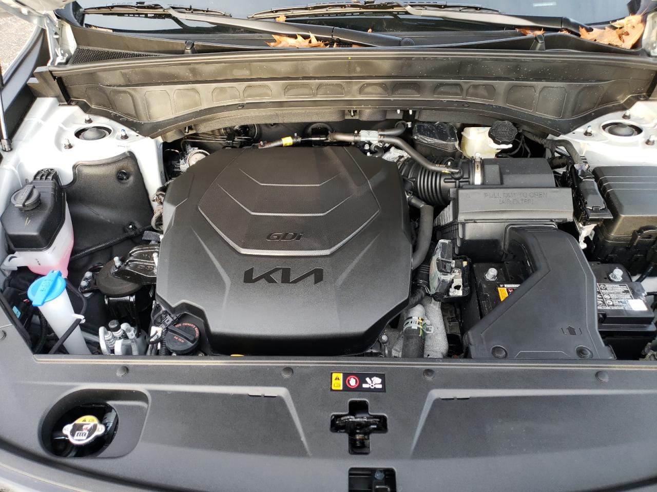 2024 KIA TELLURIDE EX VIN:5XYP3DGC3RG550104