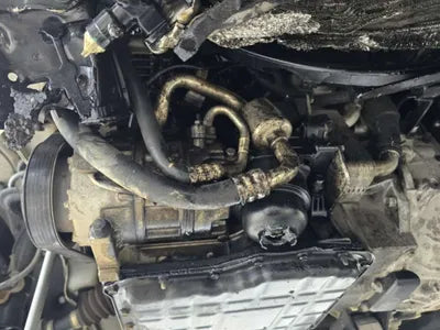 2017 Hyundai Santa FE 688KMKMHSW81UBHU7 VIN:688KMKMHSW81UBHU7