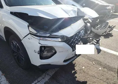 2019 Hyundai Santa FE KMHS381ABKU112387 VIN:KMHS381ABKU112387