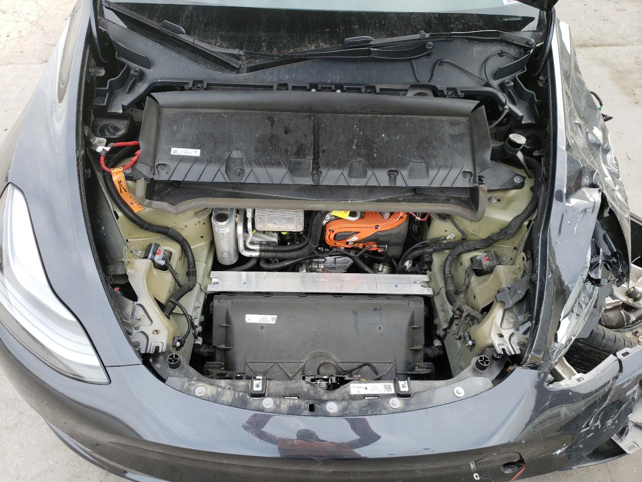 2024 TESLA MODEL Y  VIN:7SAYGAEE5RF038446