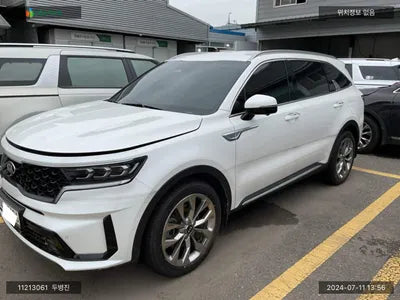 2021 Kia Sorento KNARF81FGMA113677 VIN:KNARF81FGMA113677
