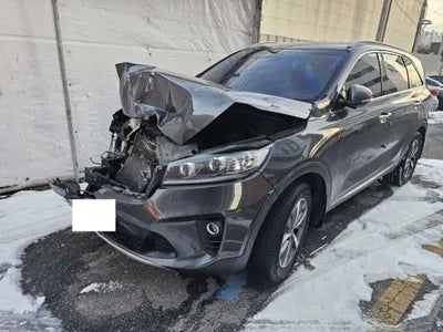 2019 Kia Sorento KNAPG81ABKA518989 VIN:KNAPG81ABKA518989