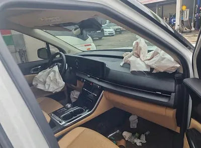2021 Kia Carnival KNANE81BBMS073819 VIN:KNANE81BBMS073819